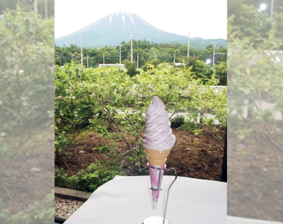 道の駅なるさわオリジナル　富士桜ソフトクリーム