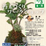 苔玉 苔玉