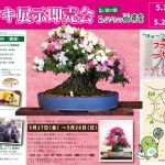 サツキ展外部用チラシ サツキ展外部用チラシ
