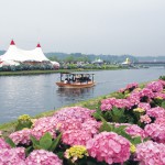 あじさい祭り あじさい祭り