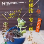 2019多肉植物の寄せ植え教室ポスター 2019多肉植物の寄せ植え教室ポスター