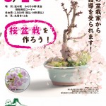 2020桜盆栽ポスター 2020桜盆栽ポスター