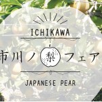 梨フェア 梨フェア