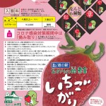 202001~いちご狩りチラシ 202001~いちご狩りチラシ