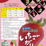 20211205_いちご狩りチラシ 20211205_いちご狩りチラシ