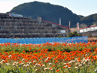 鴨川オーシャンパーク